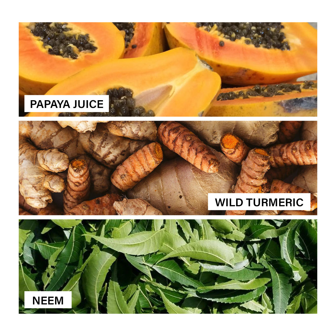 Papaya Tan Removal Brightening & Revitalizing Face Scrub