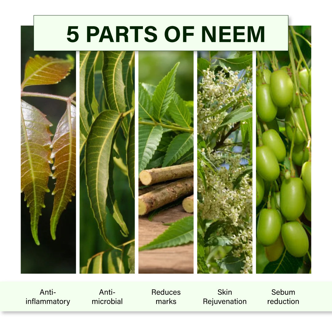 Purifying Neem Face Wash