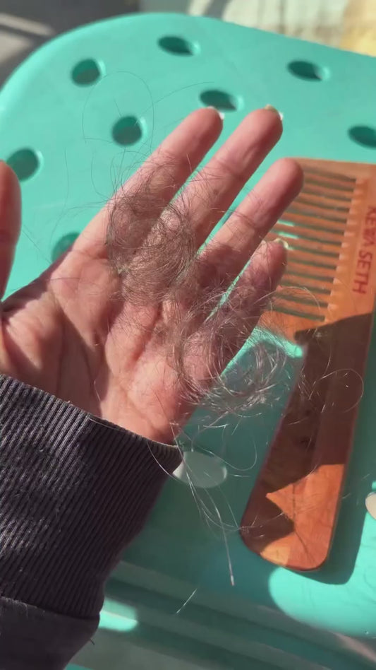Herbal Hair Oil (Comb Applicator)